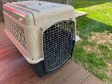 Dog kennel - Photo 2