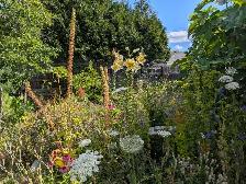 Gardening Services - Photo 2