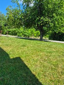 Landscaping services available now!