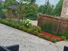 Landscaping services available now! - Photo 5
