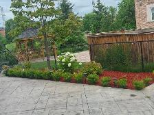 Landscaping services available now! - Photo 6