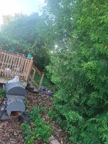 Landscaping services available now! - Photo 8