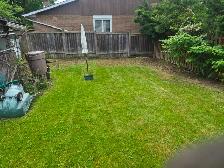 Landscaping services available now! - Photo 9