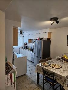 Grand 5 1/2 Laval - Photo 4