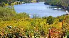 OCEANFRONT LOT LISCOMB