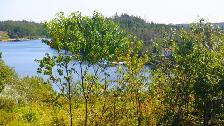 OCEANFRONT LOT LISCOMB - Photo 5