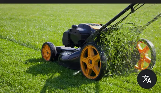 Property Maintenance