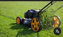 Property Maintenance
