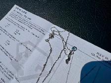 #855 - 14kt White Gold, EFFY Diamond Panther Necklace, 16-18" - Photo 6
