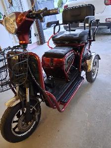 Electric scooter