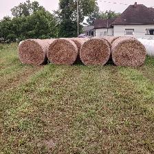 1st cut hay - Photo 2