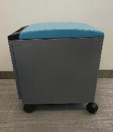 Teknion Mobile Box/File Pedestals - Photo 2