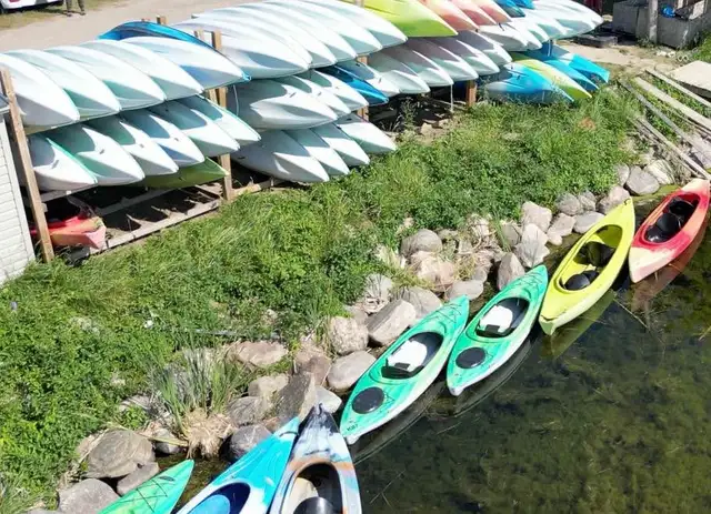 Beat the Heat with the CHEAPEST Kayak & Paddle Board Rentals