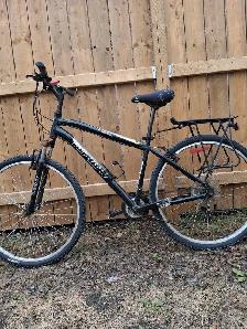 Copperhead Infinity Mountain Bike