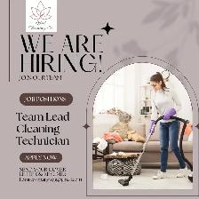 Hiring: Team Lead Cleaner