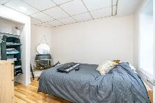 HIGH CEILING 3BR BSMT W/ LARGE WINDOWS AND LIVING! BLOOR/SPADINA - Photo 5