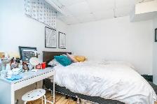 HIGH CEILING 3BR BSMT W/ LARGE WINDOWS AND LIVING! BLOOR/SPADINA - Photo 6