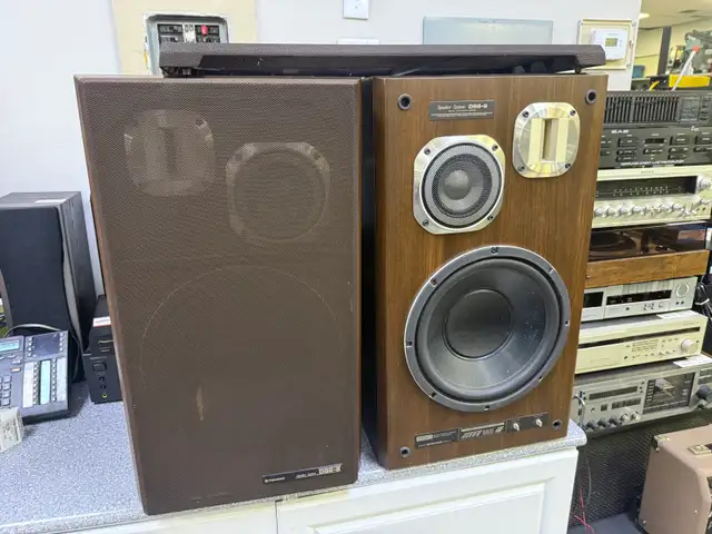 Pioneer DSS19 Speakers Woofers Changed