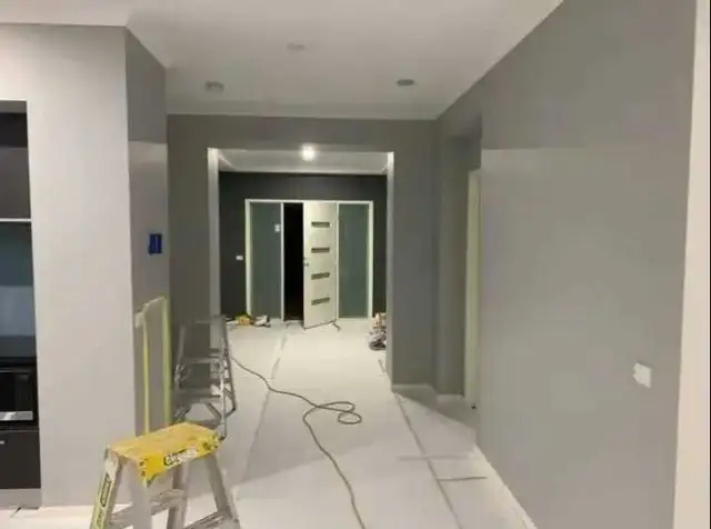 Hiring (1) Professional Painter/Helper