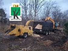 KINGDOM TREE SERVICES - FREE ESTIMATE - 905-301-2633 - Photo 6
