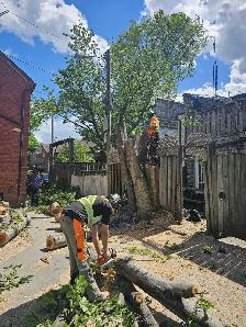 Tree Removal -Pruning -Permits -Storm