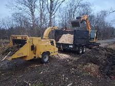 EMERGENCY TREE SERVICES - Photo 4