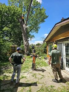 EMERGENCY TREE SERVICES