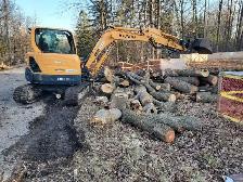 EMERGENCY TREE SERVICES - Photo 3