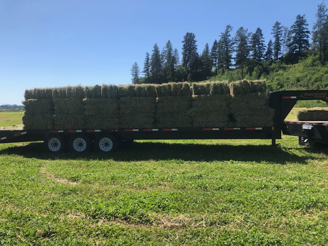 First Cut Hay & Alfalfa