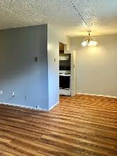 Clean, Spacious, Refreshed!  2br lower-level unit, $1695   H - Photo 5