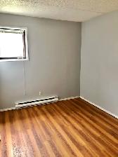 Clean, Spacious, Refreshed!  2br lower-level unit, $1695   H - Photo 6