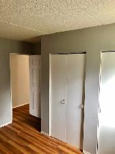 Clean, Spacious, Refreshed!  2br lower-level unit, $1695   H - Photo 7
