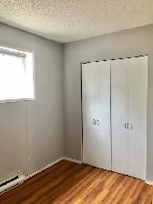 Clean, Spacious, Refreshed!  2br lower-level unit, $1695   H - Photo 8