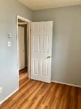 Clean, Spacious, Refreshed!  2br lower-level unit, $1695   H - Photo 9