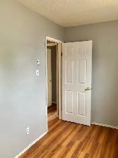 Clean, Spacious, Refreshed!  2br lower-level unit, $1695   H - Photo 10
