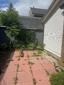Renovated 1 Bedroom-Central Location-Napanee! - Photo 14