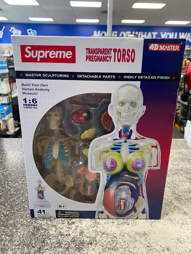 4D Master Supreme Transparent Pregnancy Torso @ Cashopolis