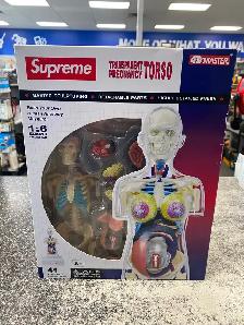 4D Master Supreme Transparent Pregnancy Torso @ Cashopolis