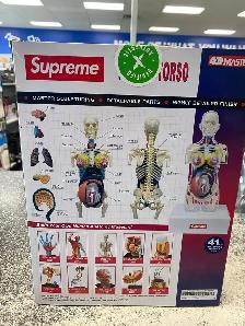4D Master Supreme Transparent Pregnancy Torso @ Cashopolis - Photo 2