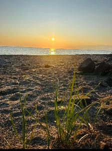 Home on Owned land Parlee Beach, Shediac NB - Photo 9