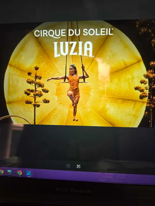 Luzia x 3