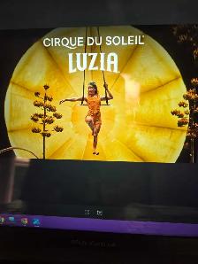 Luzia x 3