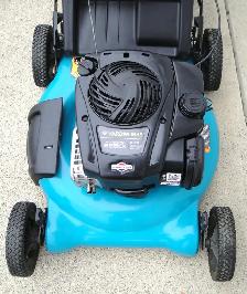 YARDWORKS REAR BAG GAS LAWNMOWER - Photo 4