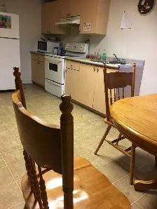 5 min Walk to Whitehorn Ctrain/Near Sunridge Mall & Airport - Photo 7