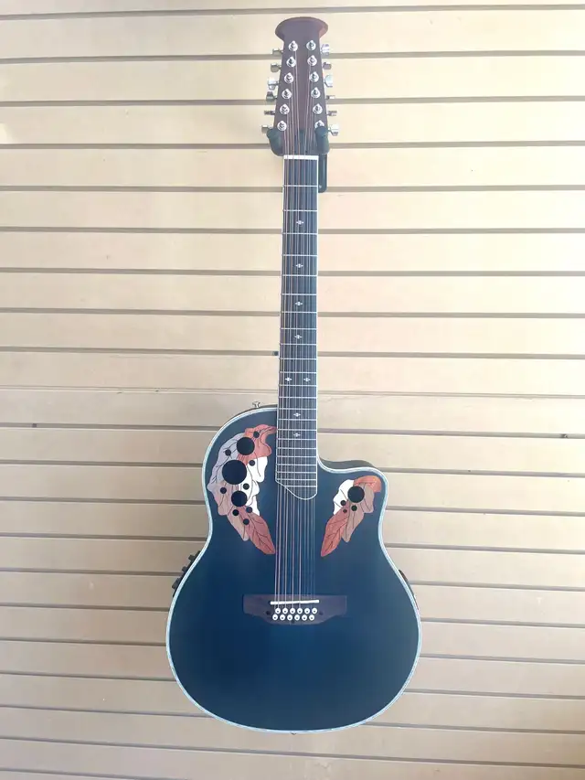 12 strings Acoustic Electric Guitar Round Back