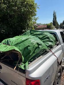 Dump Runs & Junk Removal | $100 Flat Rate - Photo 4