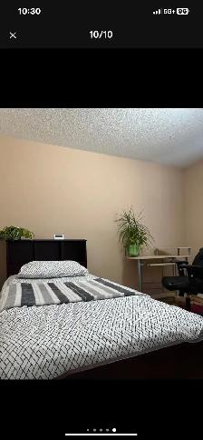 PRIVATE ROOM BRAMPTON FURNISHED M/F BUS STOP - Photo 8