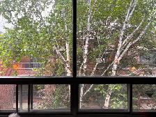 Shared Therapy & Wellness Office — St-Henri - Photo 5