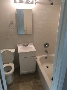 One bedroom apartment near HSC - Photo 8