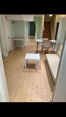 Furnished Basement for rent Across Vaughan Mills Mall - Photo 4